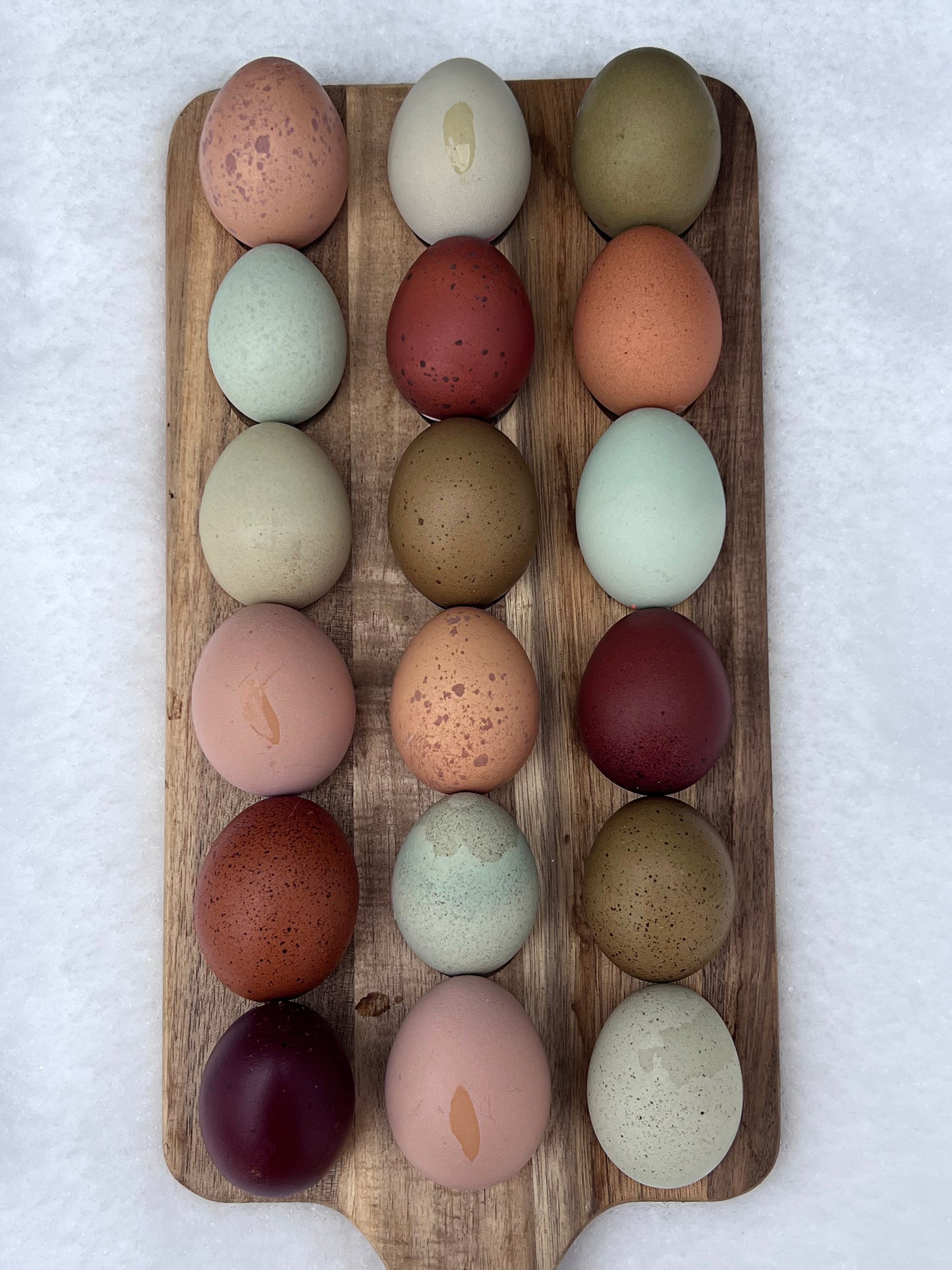 SURPRISE Rainbow 🌈 Hatching Eggs