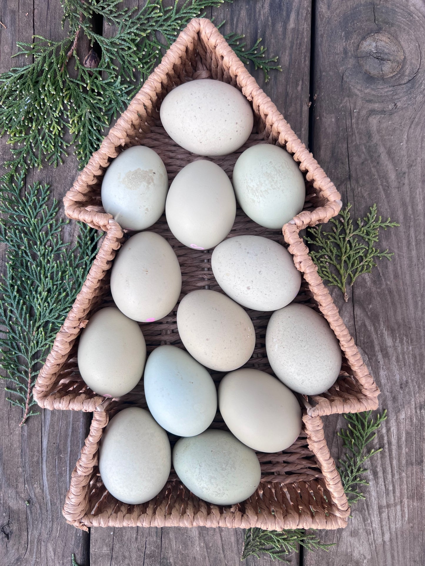 Create Your Own Half or Whole Dozen