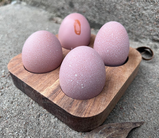 Lavender Birchen Marans Hatching Eggs