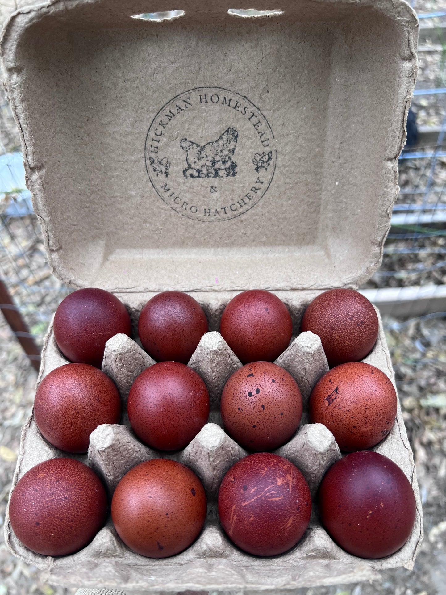 Create Your Own Half or Whole Dozen