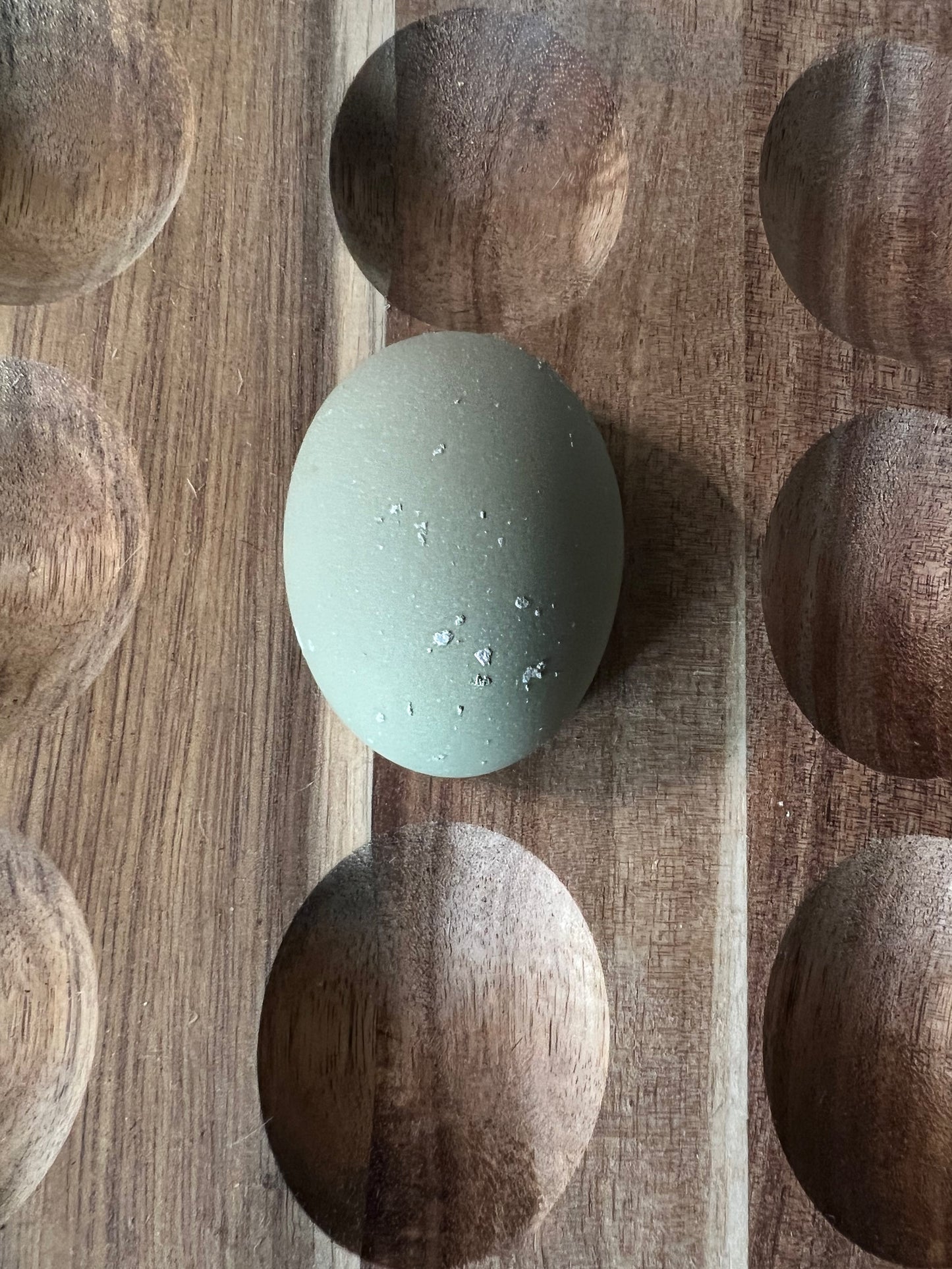 Silver Cream Hatching Eggs