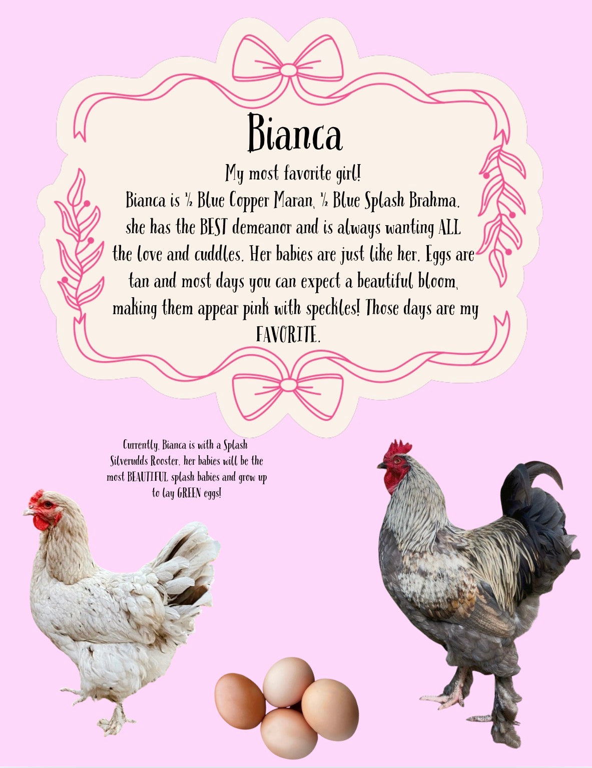 Create your own Dozen