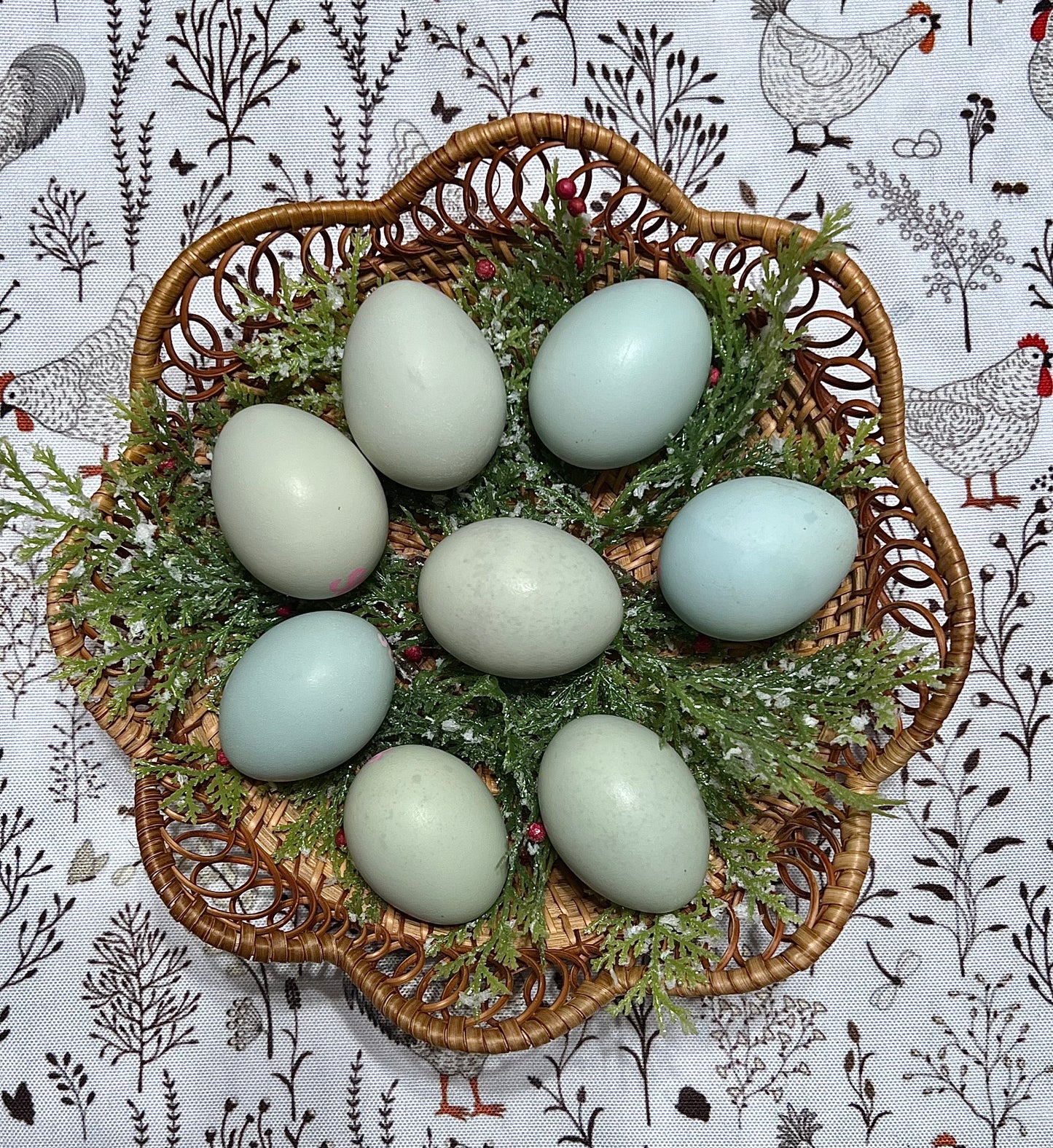 Schijndelaar Hatching Eggs